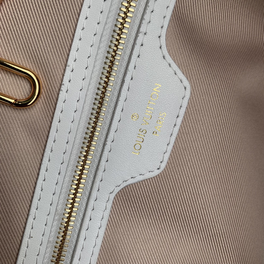 Louis Vuitton Neverfull Bag