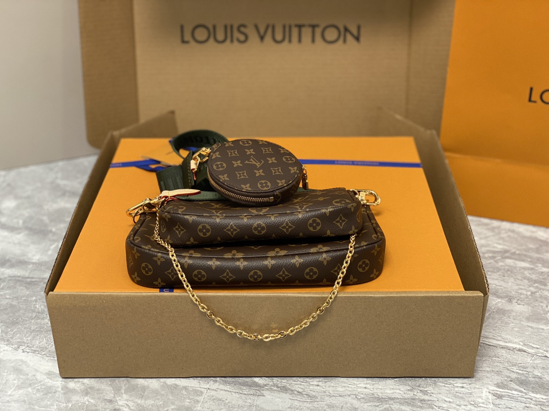 Louis Vuitton Multi Pochette Accessories Bag