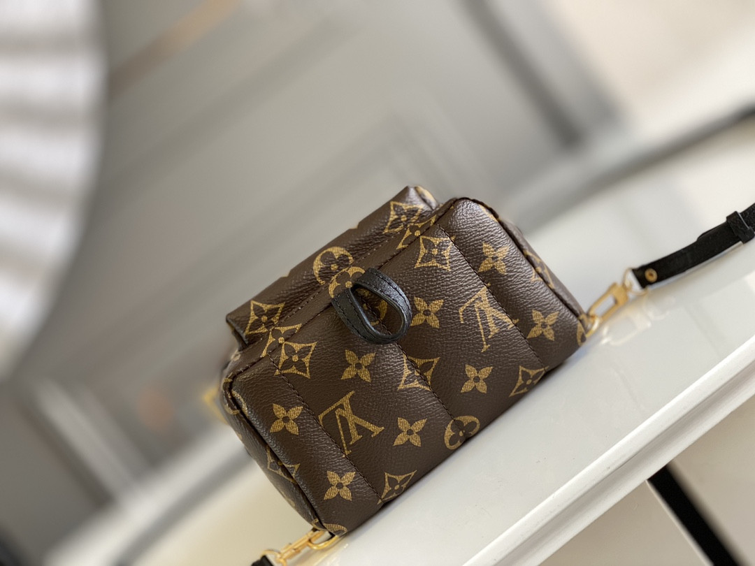 Louis Vuitton Palm Springs Bag