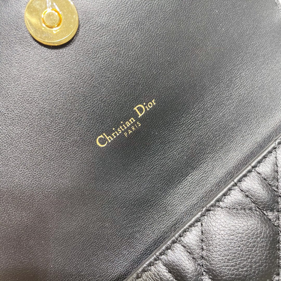 Dior Caro Pouch