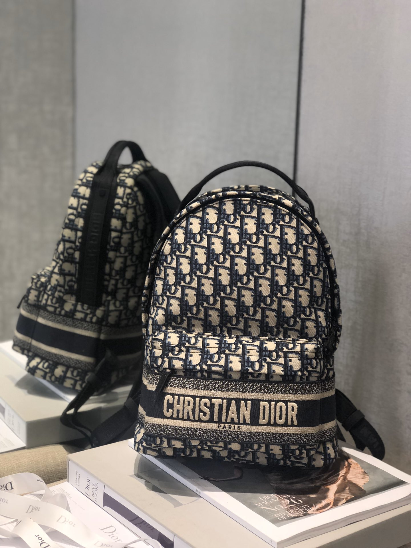 Dior Backpack