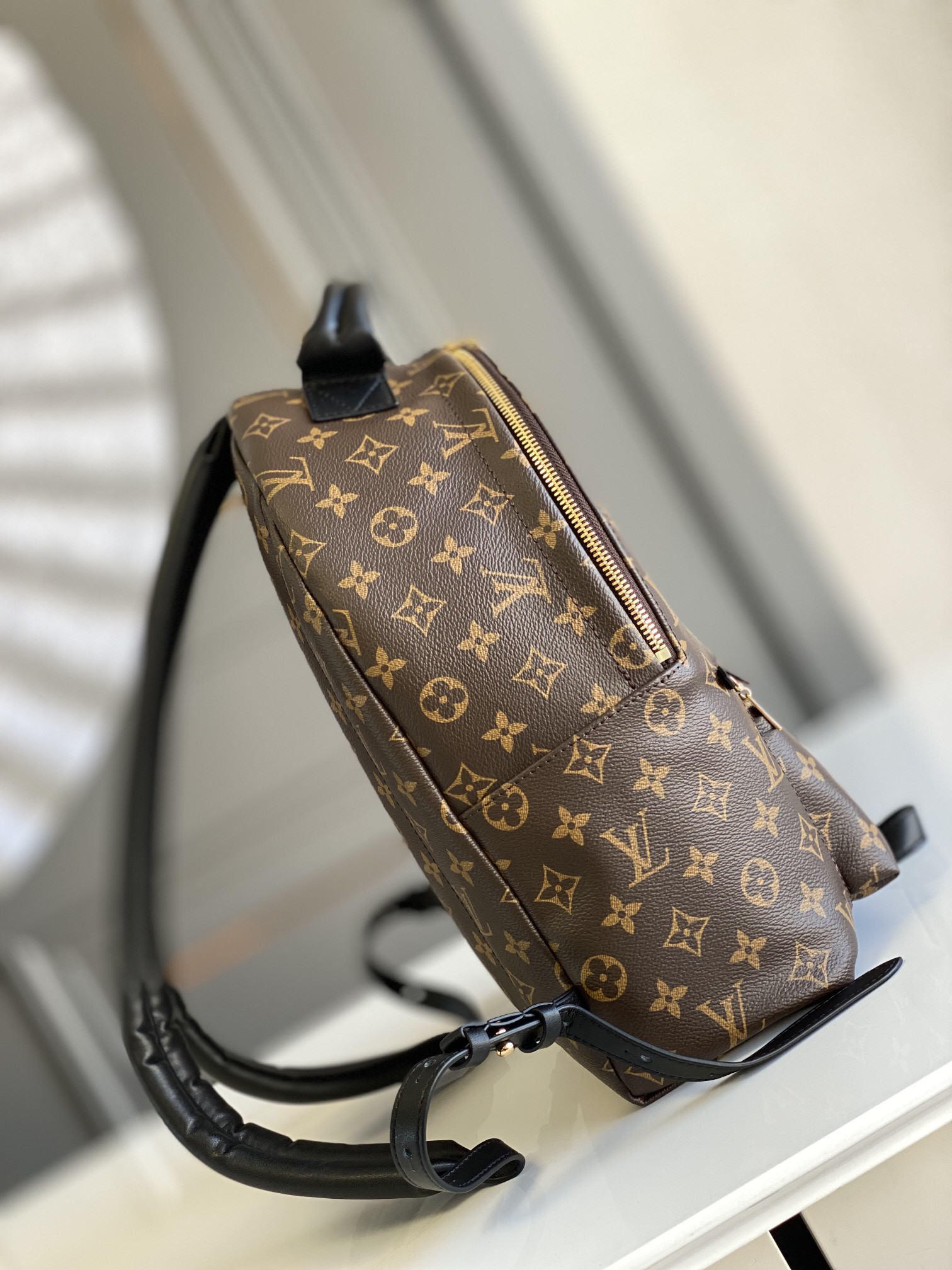 Louis Vuitton Palm Springs Bag