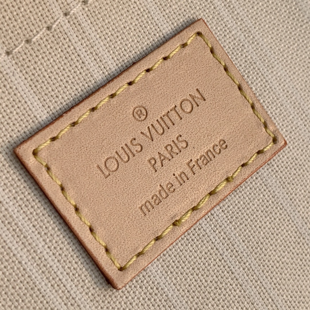 Louis Vuitton Multi Pochette Accessories Bag