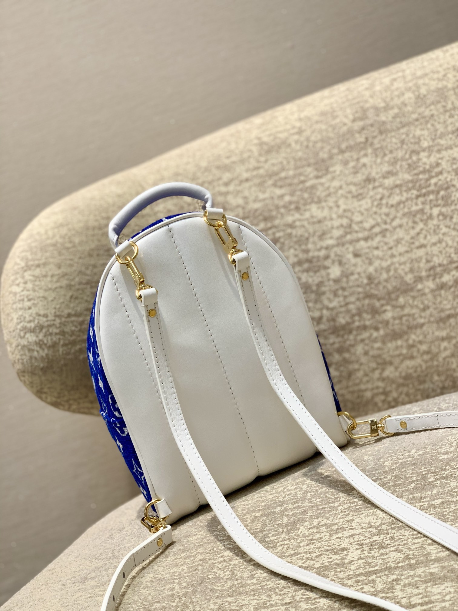 Louis Vuitton Palm Springs Bag