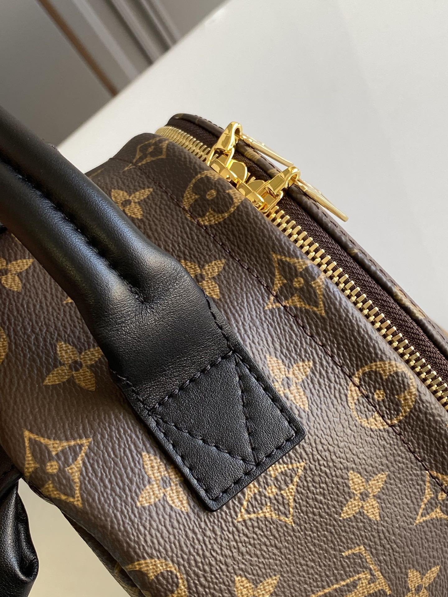 Louis Vuitton Palm Springs Bag