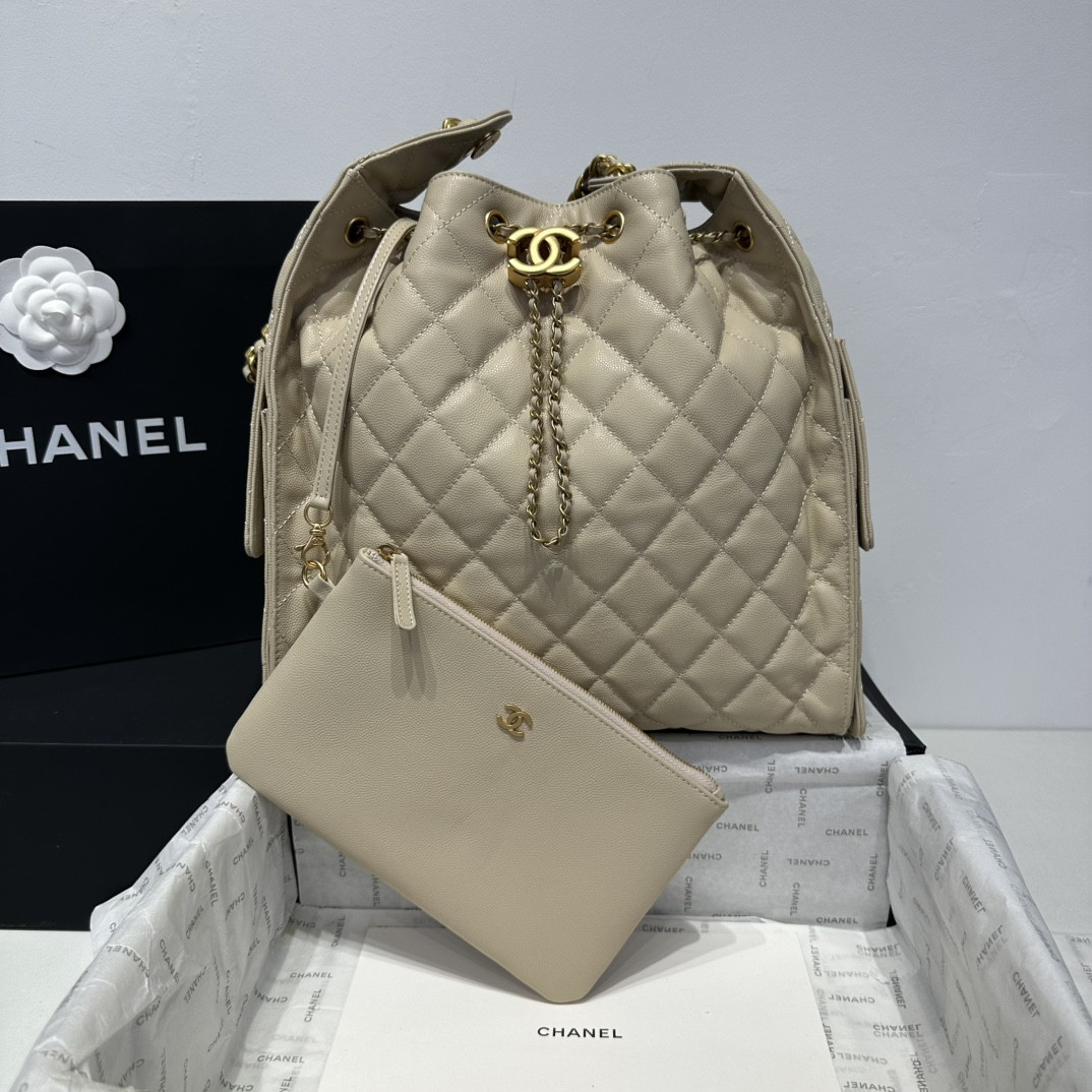 Chanel 25p Hobo Bag