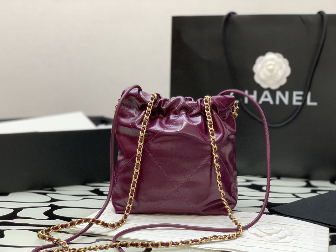 Chanle 22 Backpack Mini