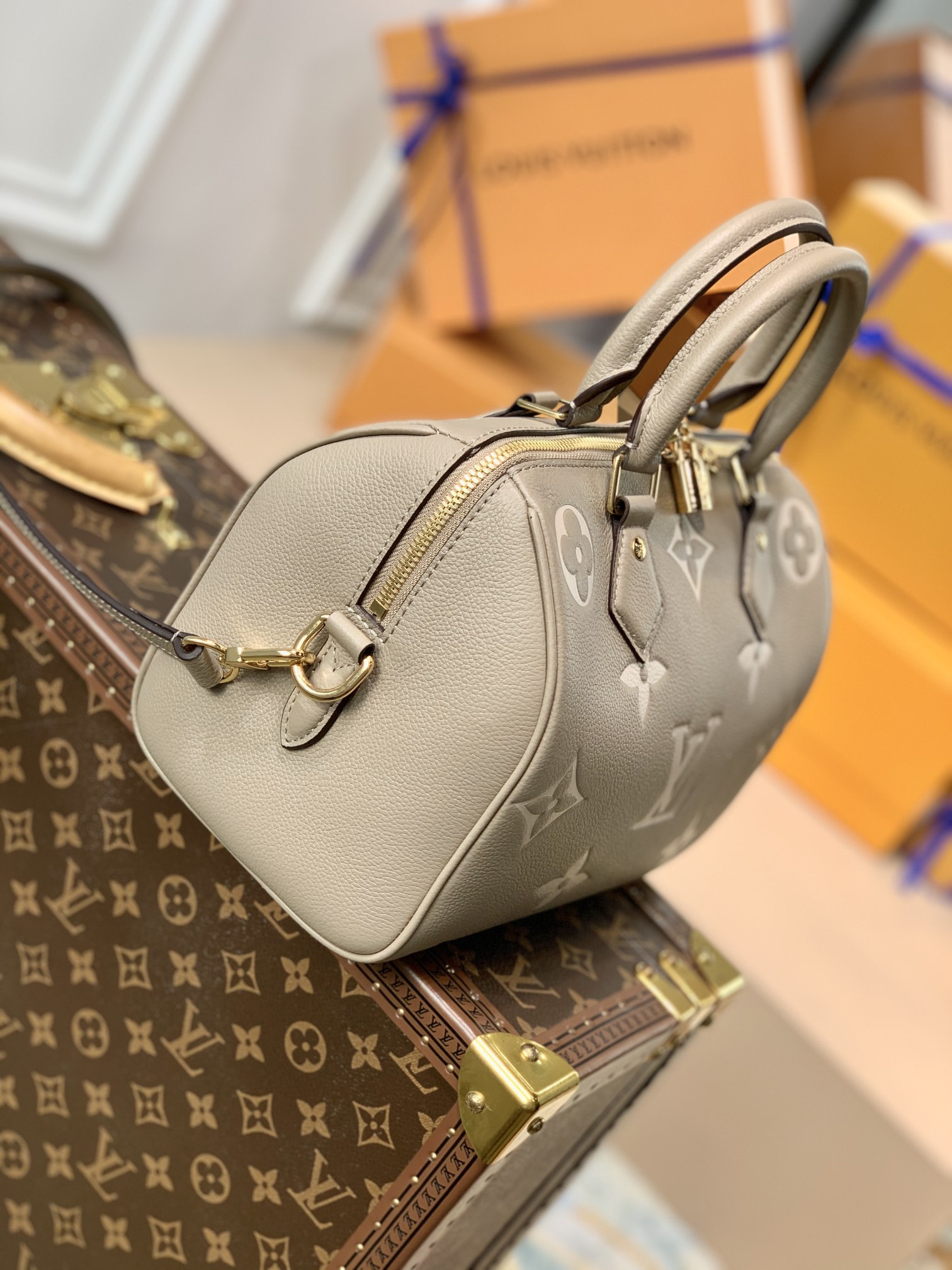 Louis Vuitton Speedy Bandoulière 25 Bag