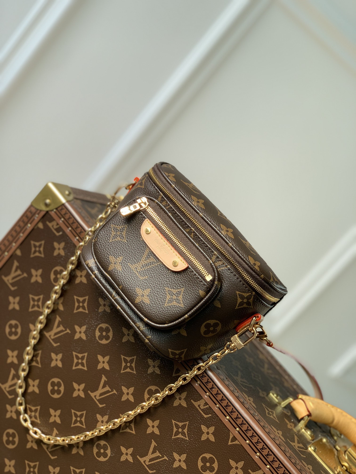 Louis Vuitton Bumbag Bag