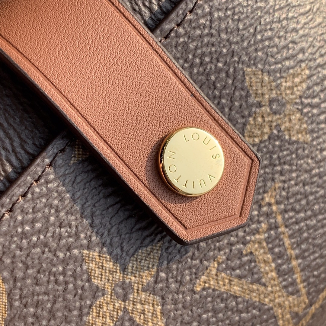 Louis Vuitton Victorine Bag
