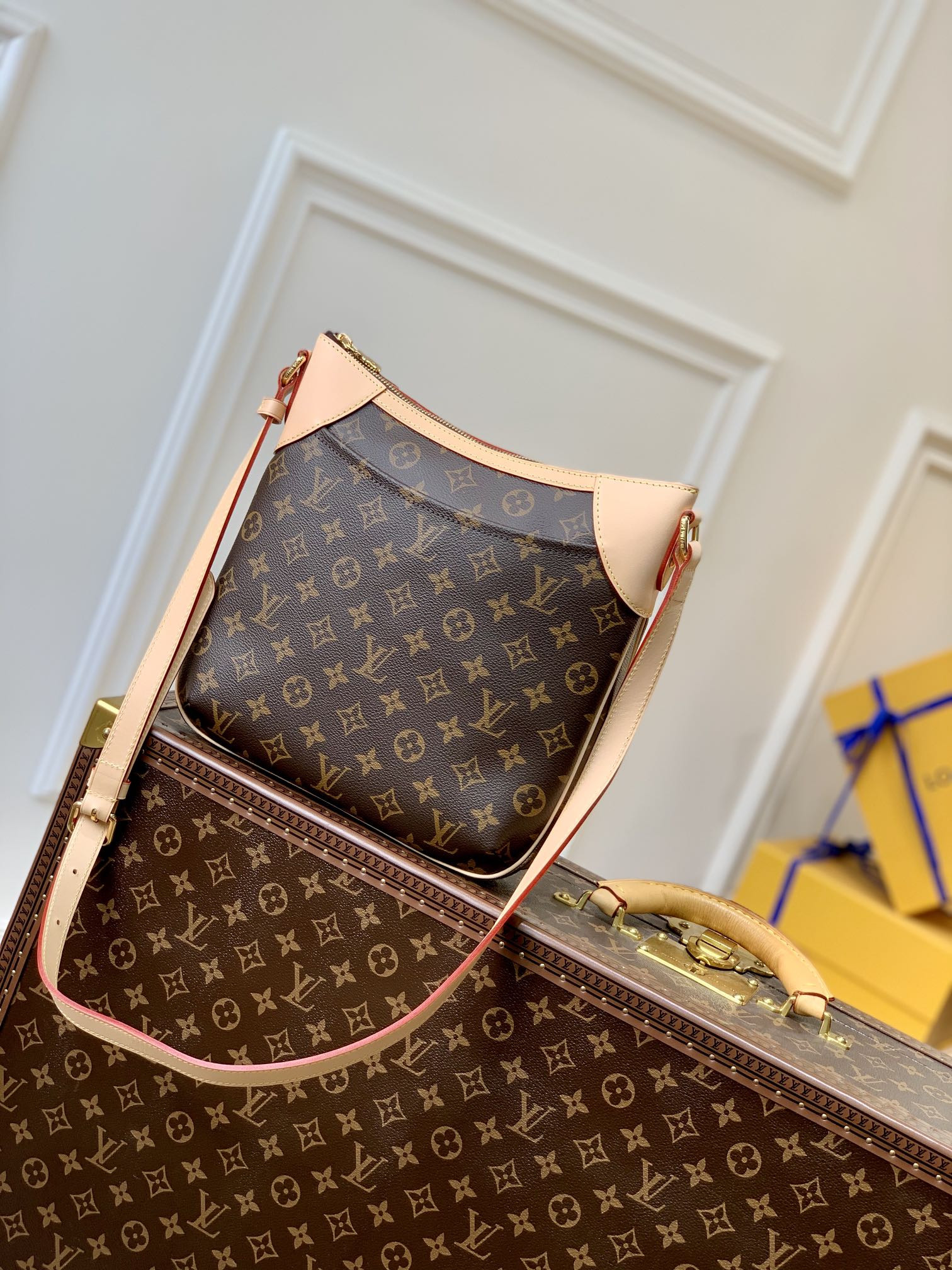Louis Vuitton Odéon Bag