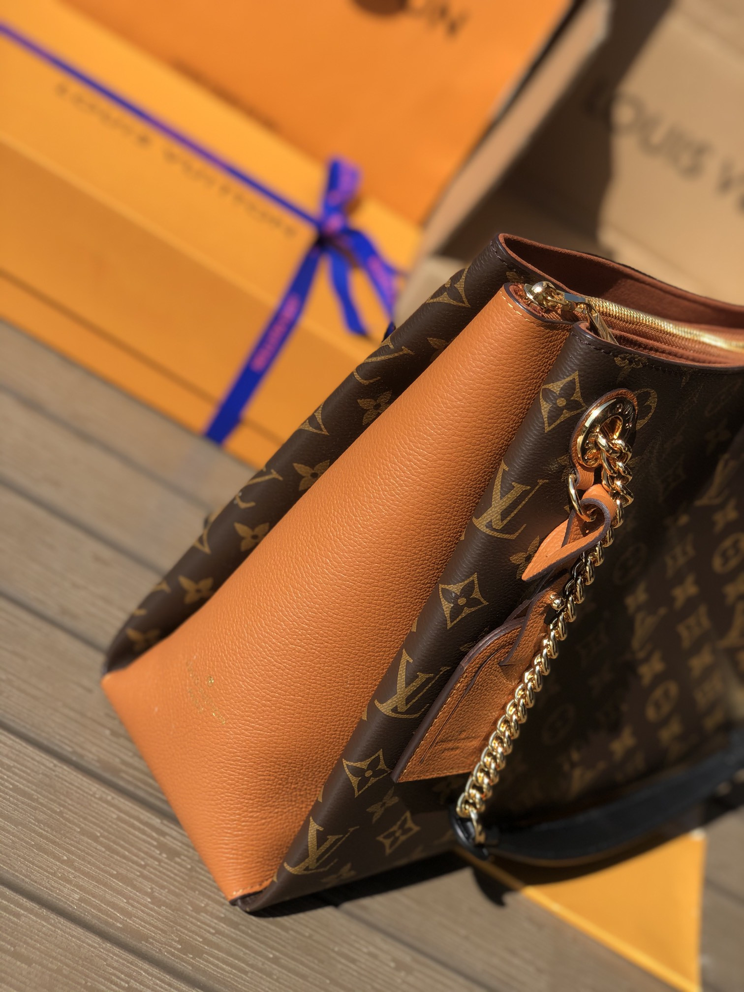 Louis Vuitton Surene Bag