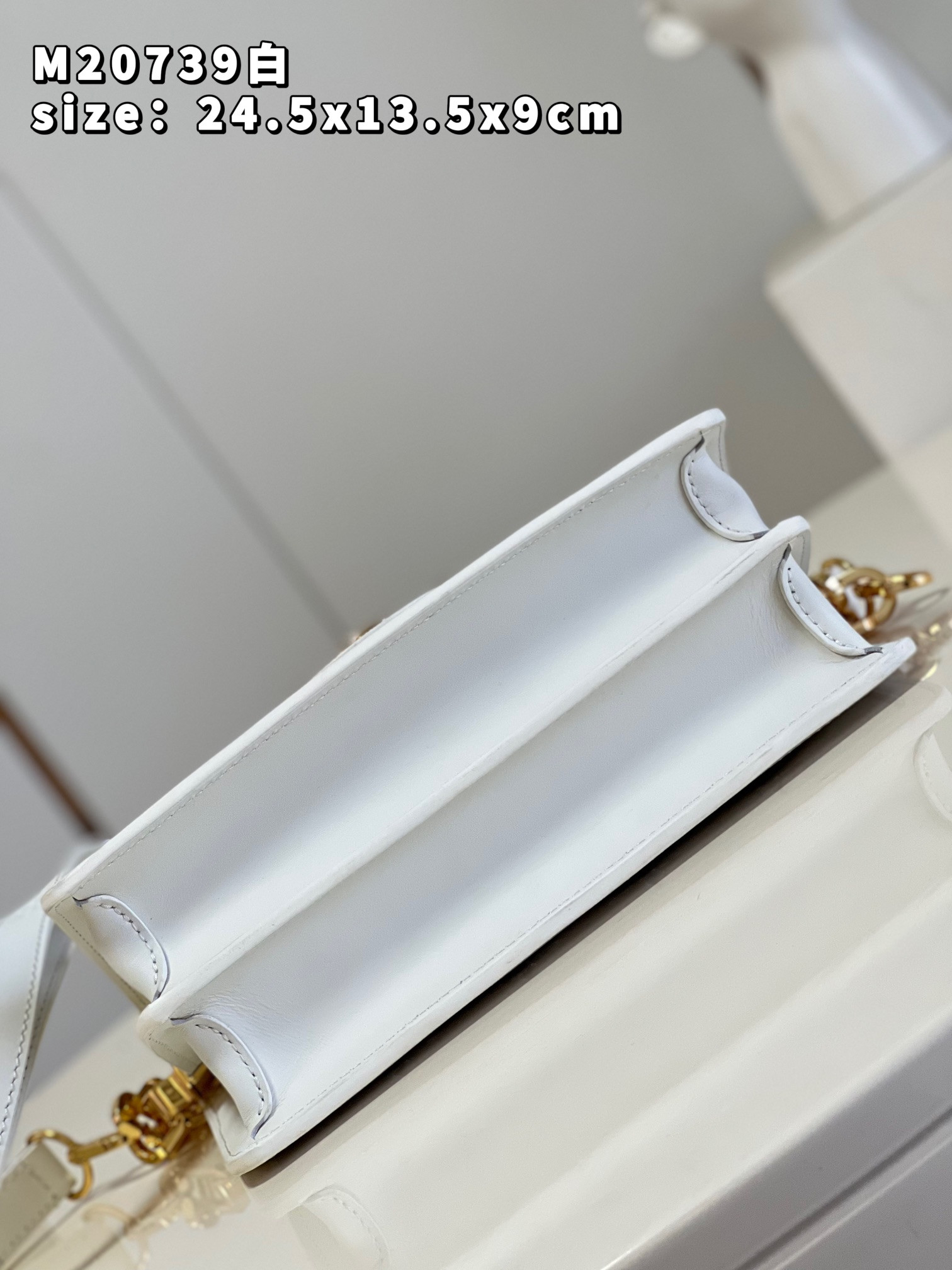 Louis Vuitton Dauphine Bag