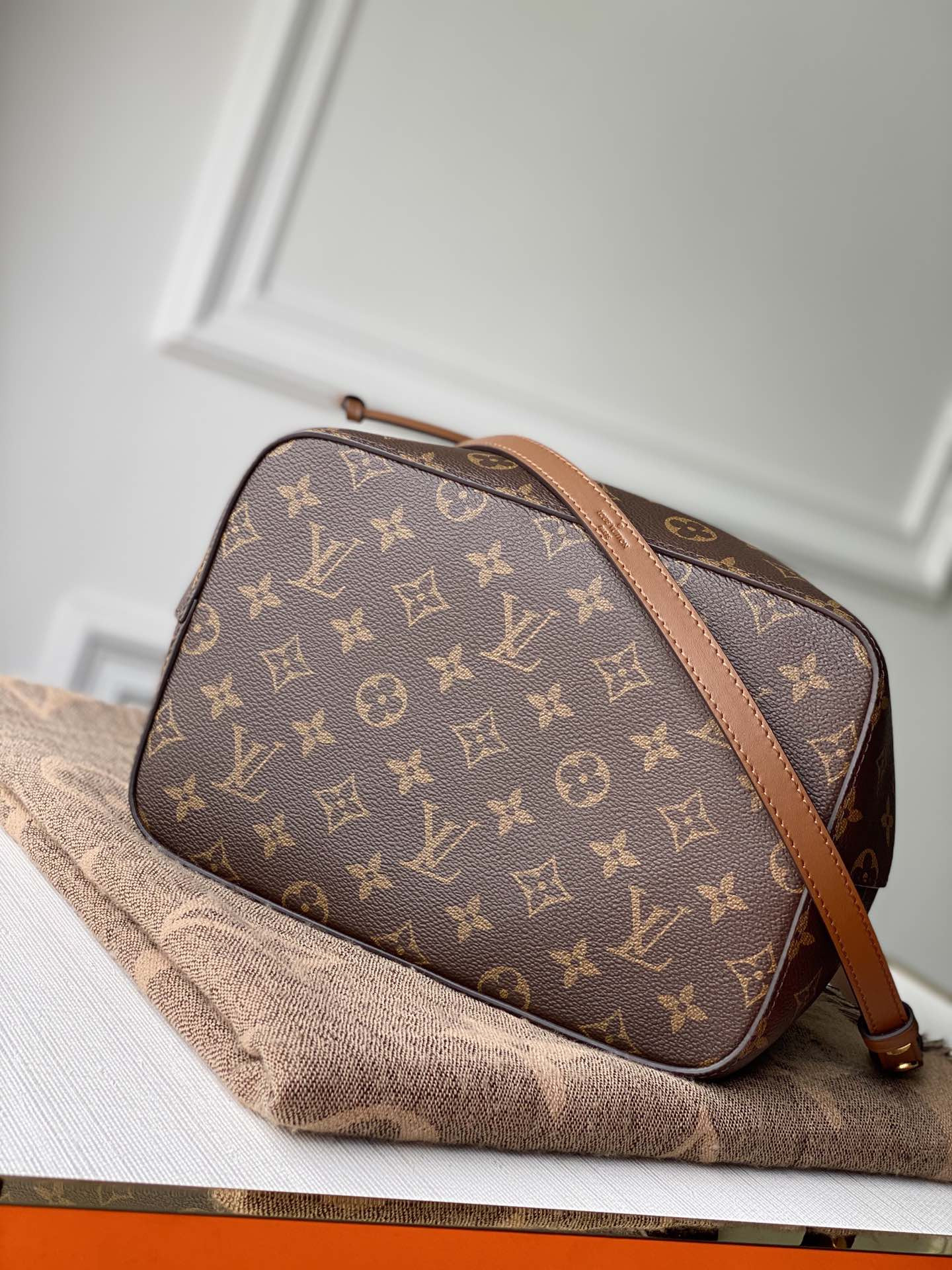 Louis Vuitton Néonoé Bag