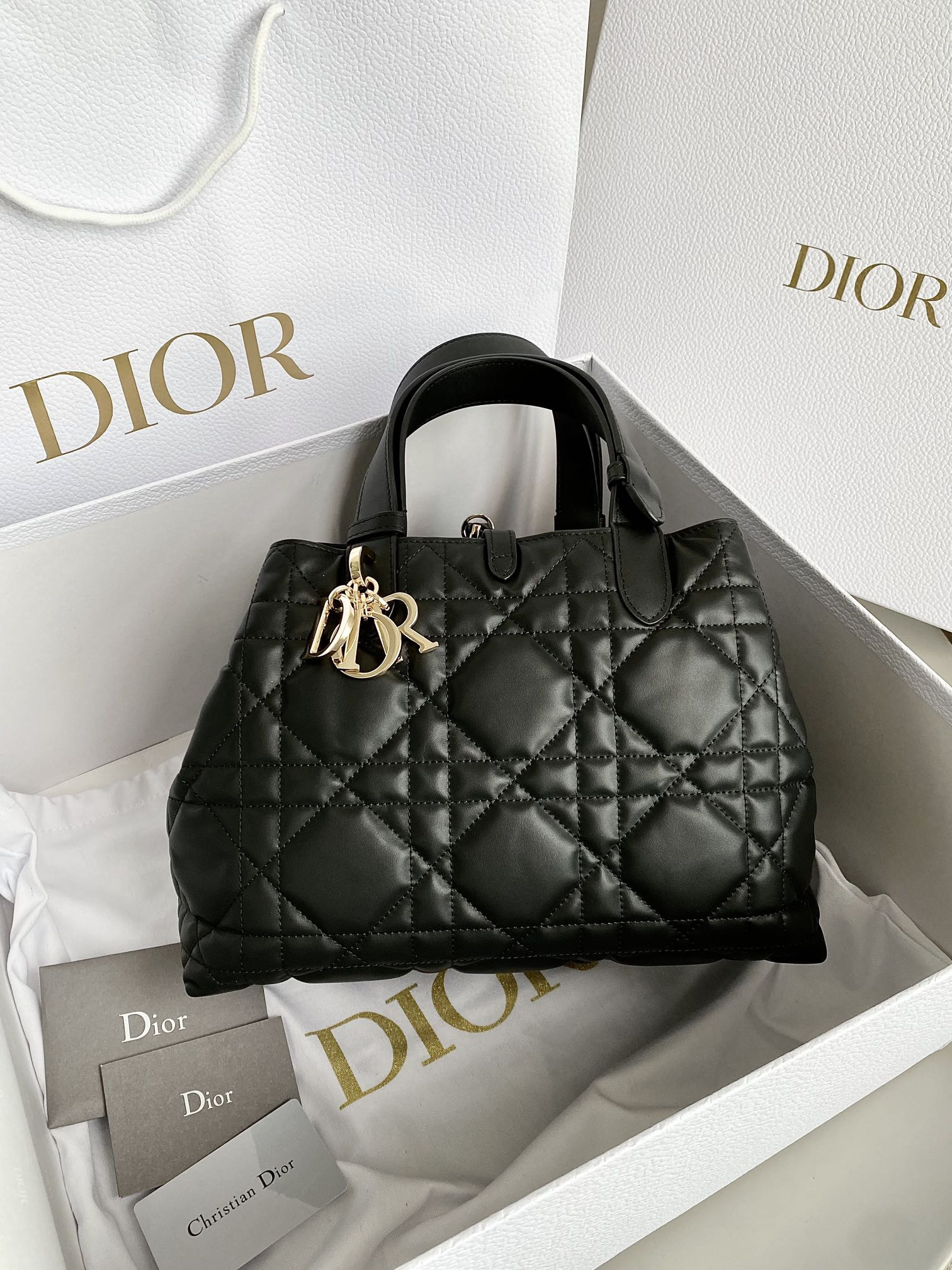 Dior Toujours Bag