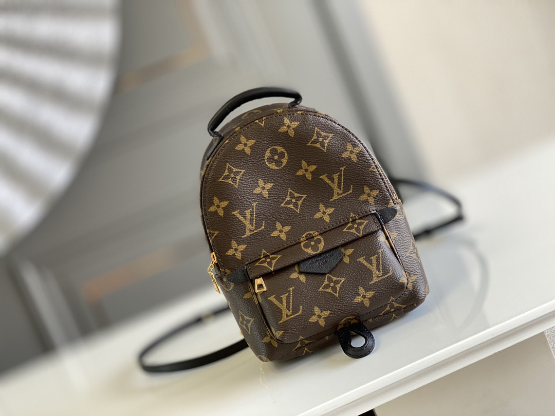 Louis Vuitton Palm Springs Bag