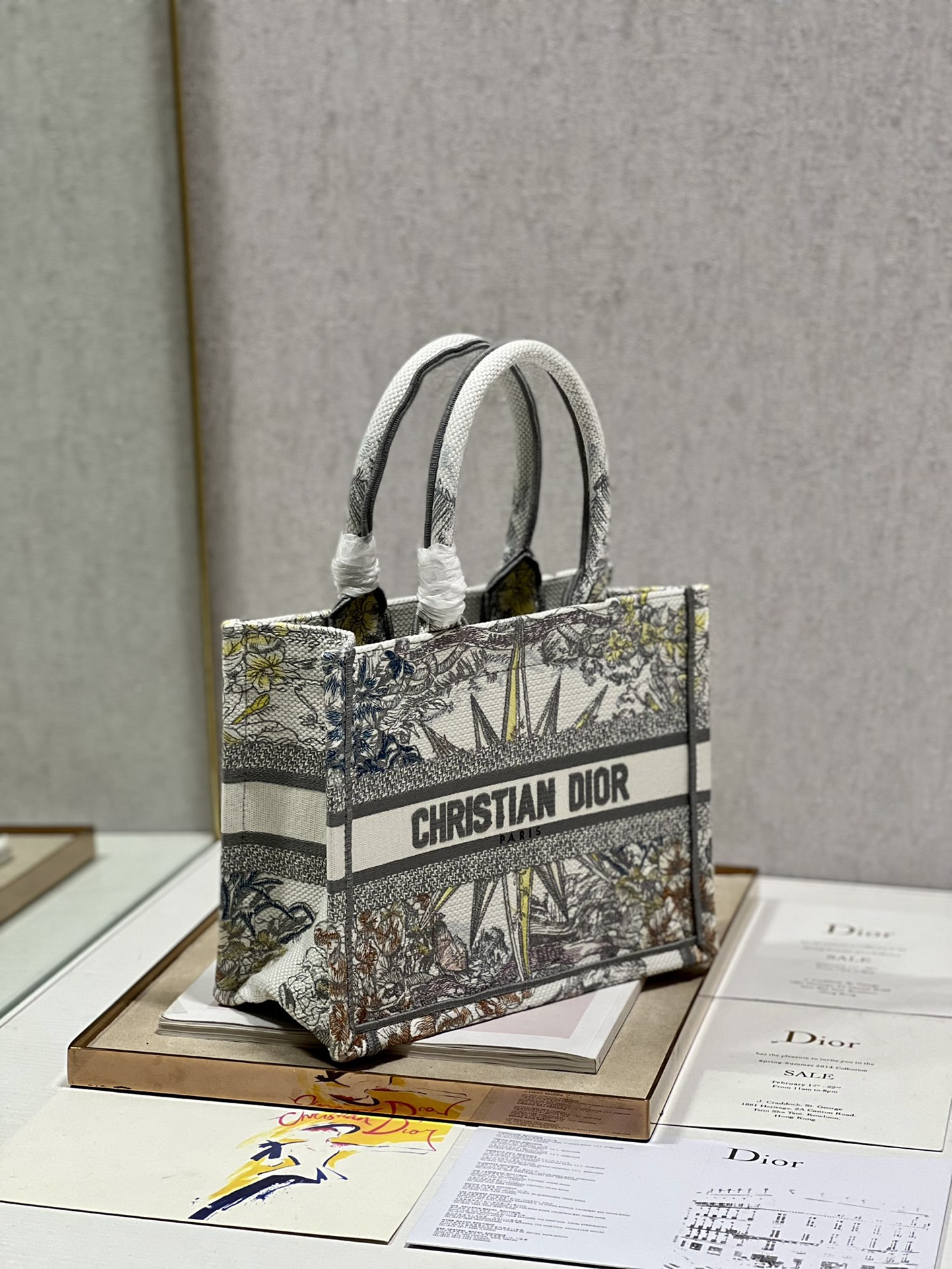 Small Dior Book Tote