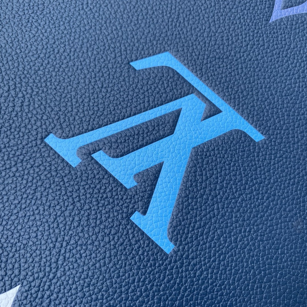 Louis Vuitton Neverfull Bag