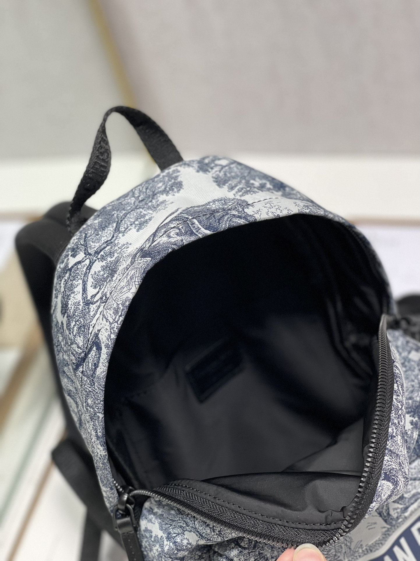 Dior Backpack