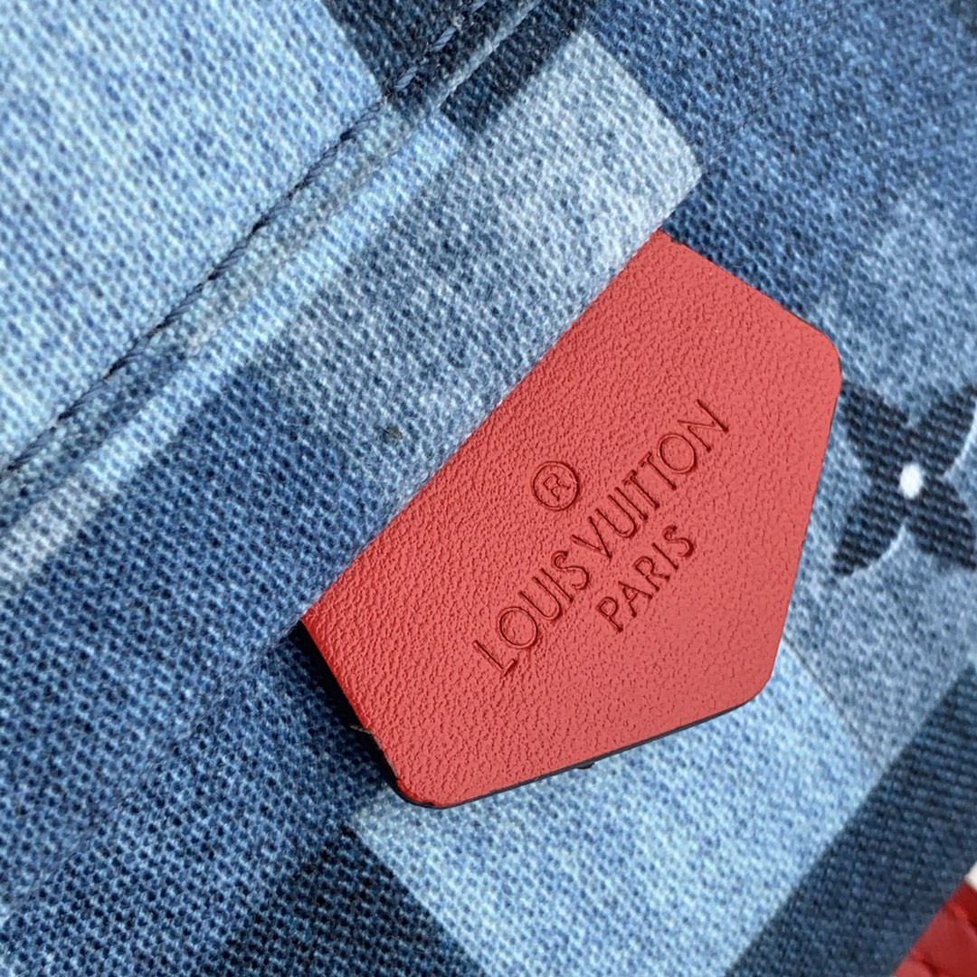 Louis Vuitton Palm Springs Bag