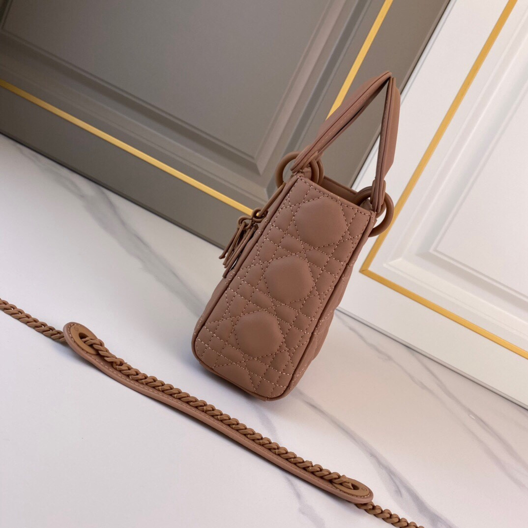 Mini Lady Dior Bag