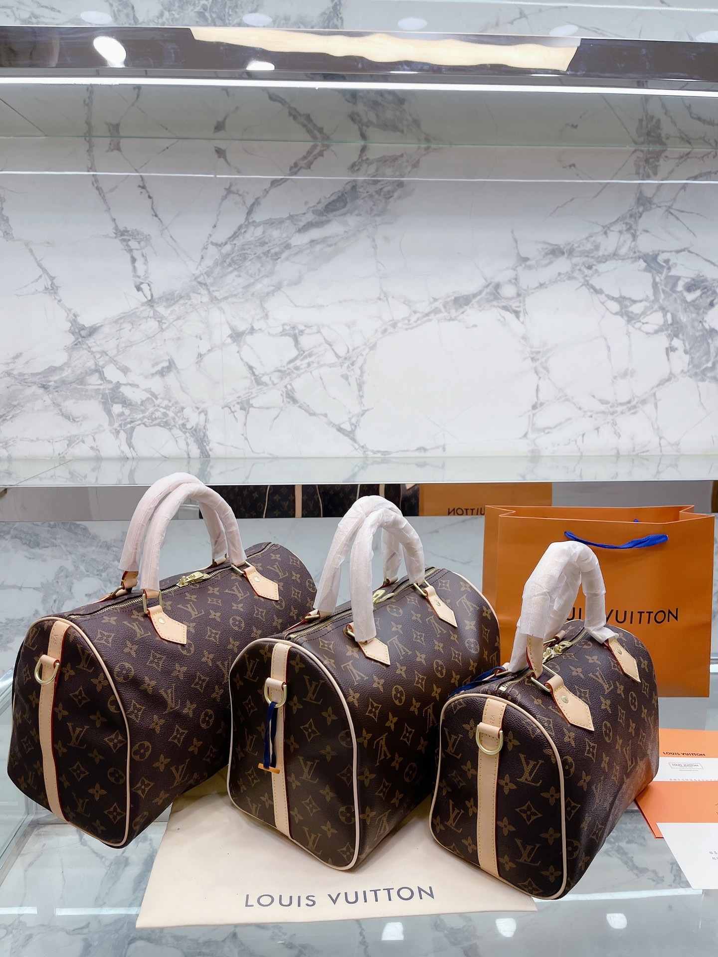 Louis Vuitton Speedy Nano Bag