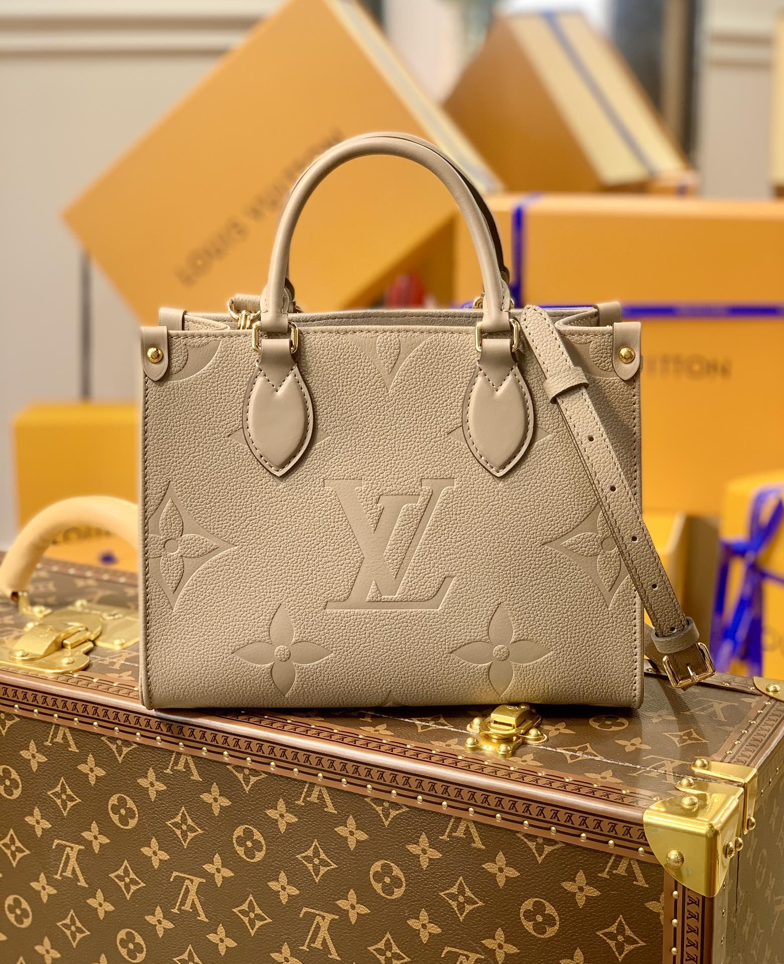 Louis Vuitton Onthego Bag