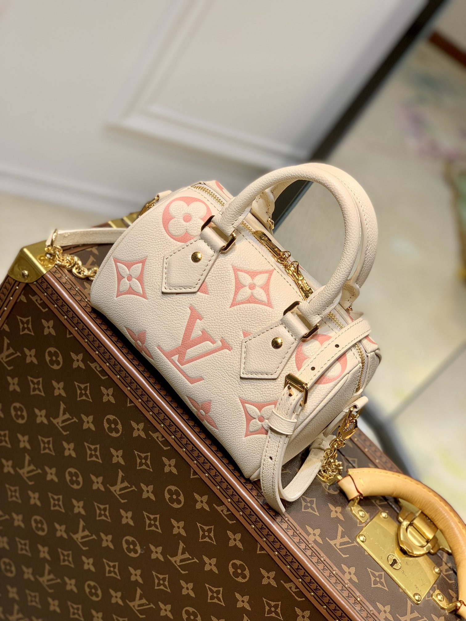 Louis Vuitton Speedy Bandoulière 20 Bag