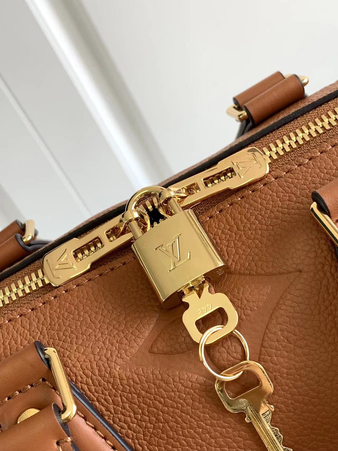 Louis Vuitton Speedy Bandoulière 25 Bag