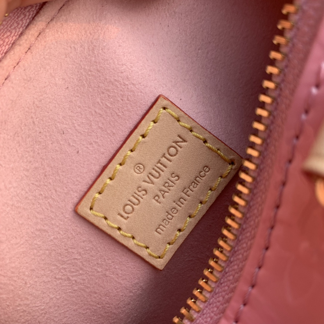 Louis Vuitton Speedy Bandoulière 25 Bag