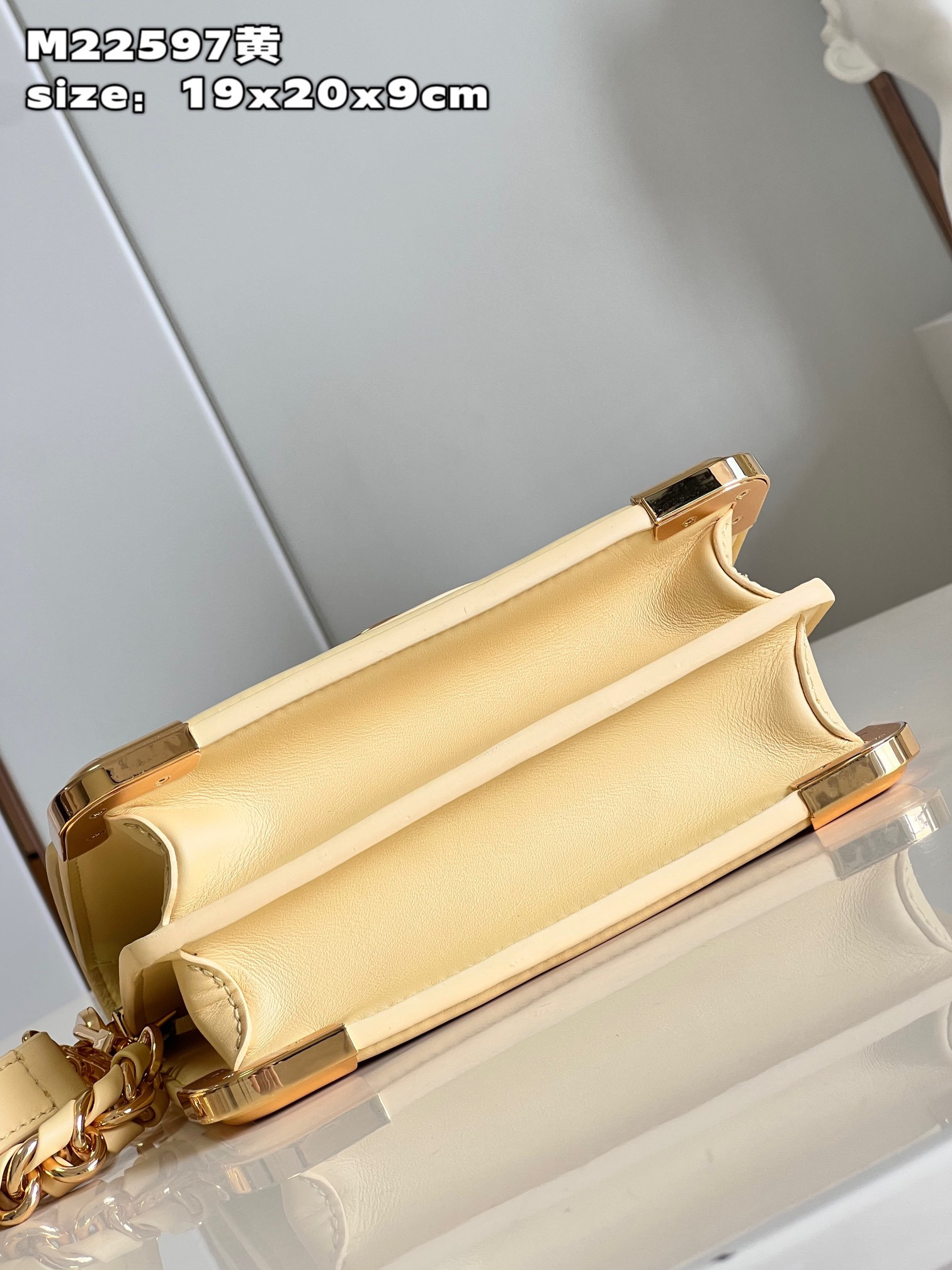 Louis Vuitton Dauphine Bag