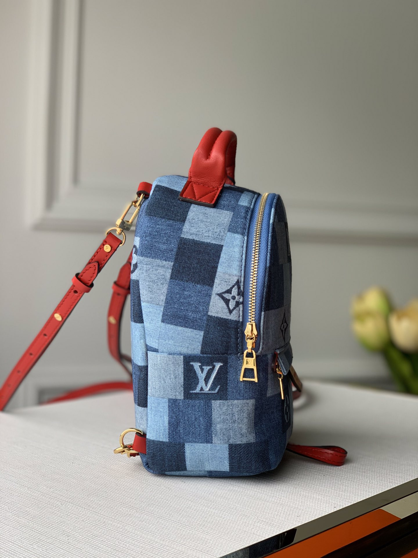 Louis Vuitton Palm Springs Bag