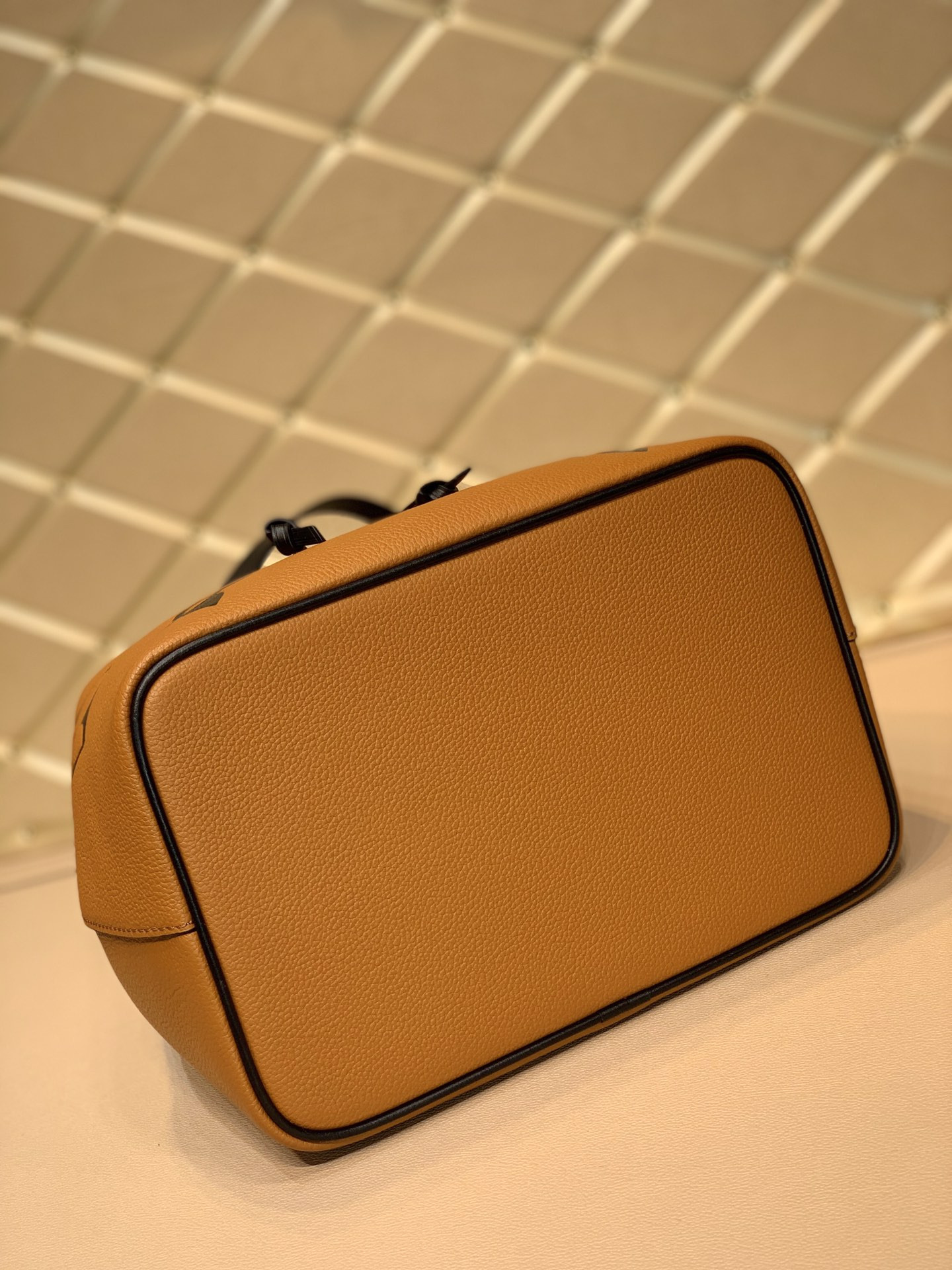 Louis Vuitton Néonoé Bag