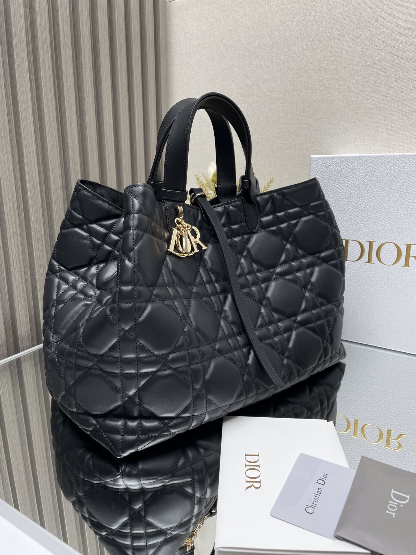 Dior Toujours Bag