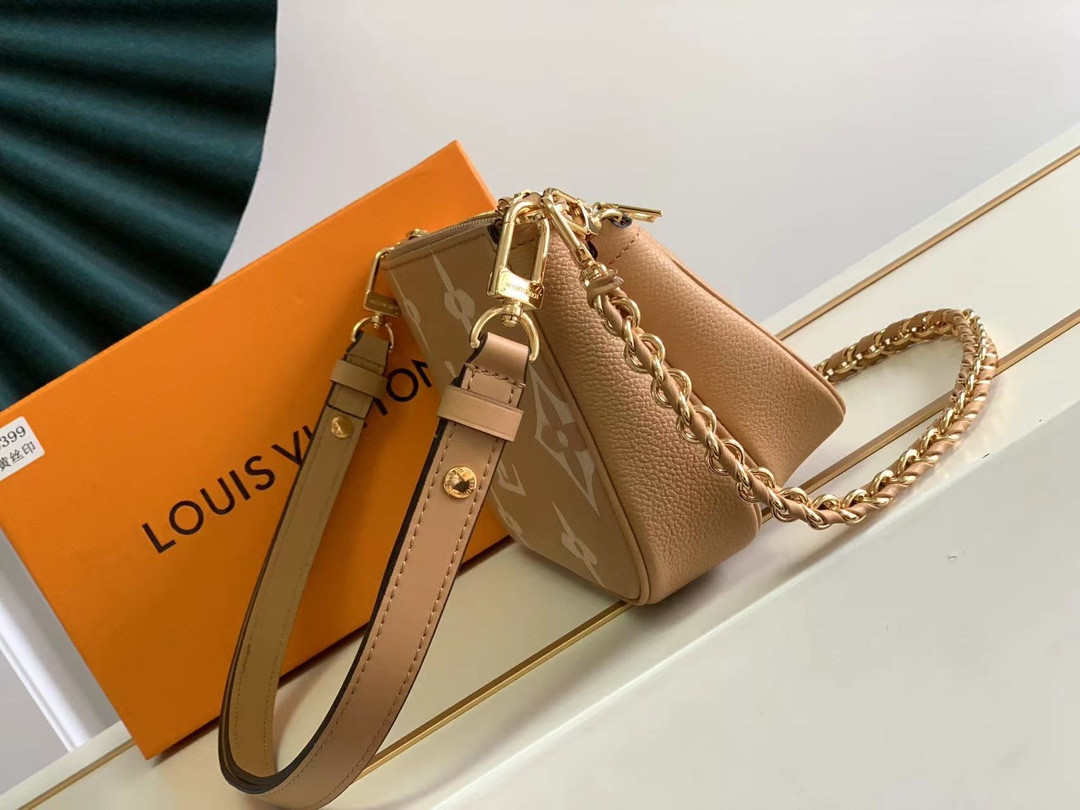 Louis Vuitton Multi Pochette Accessories Bag