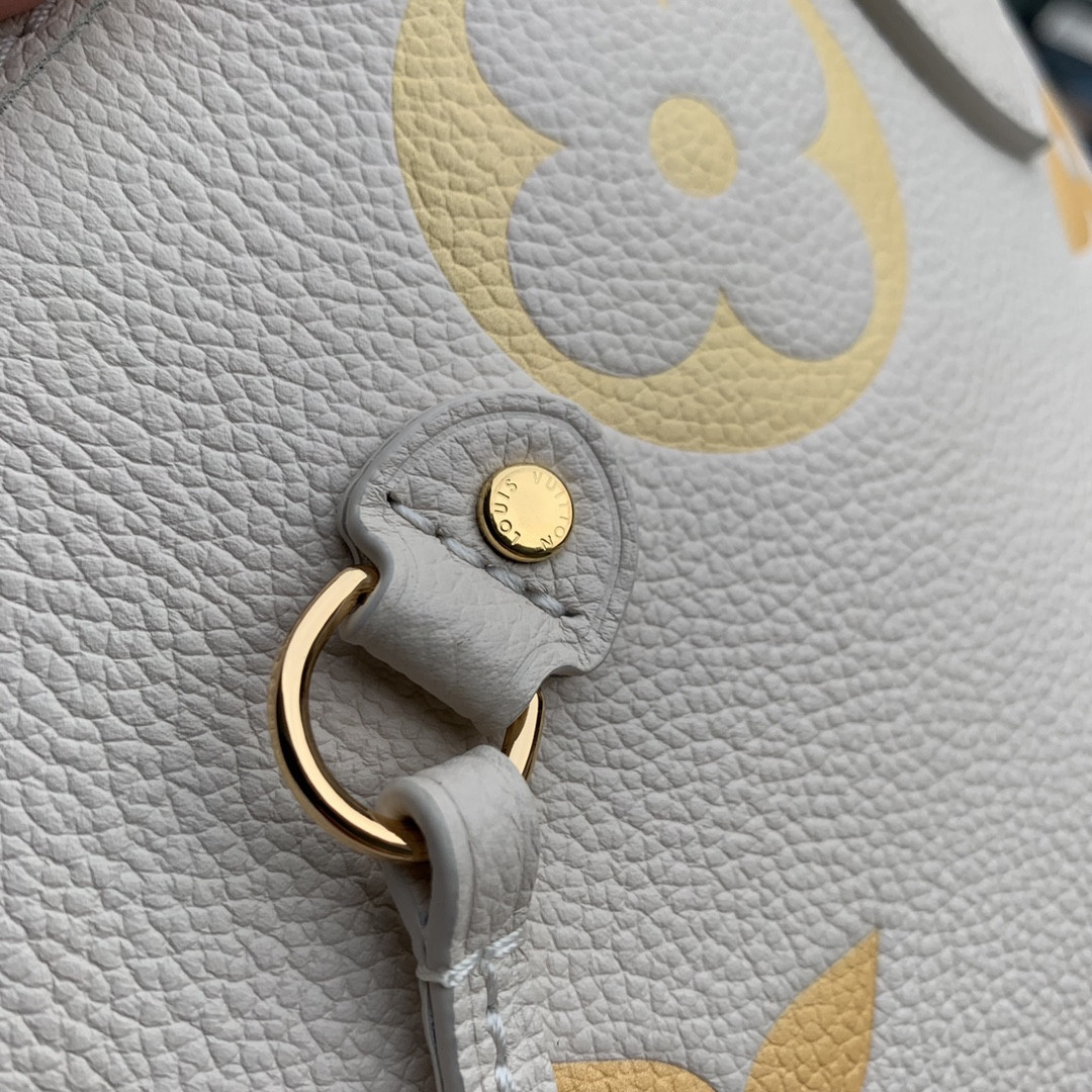 Louis Vuitton Neverfull Bag