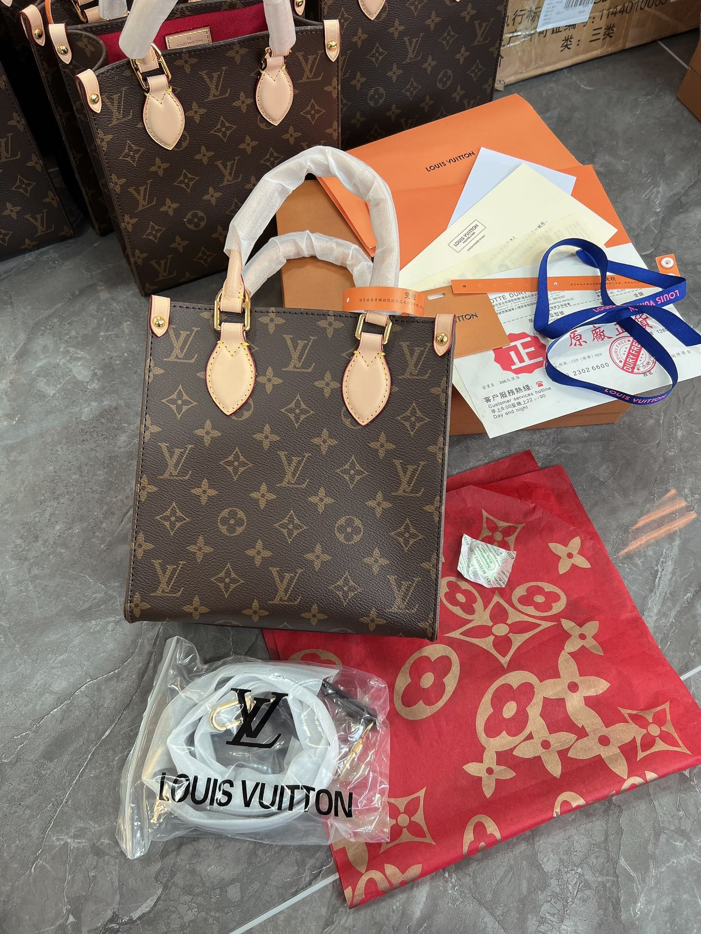 Louis Vuitton Carry It| Bag