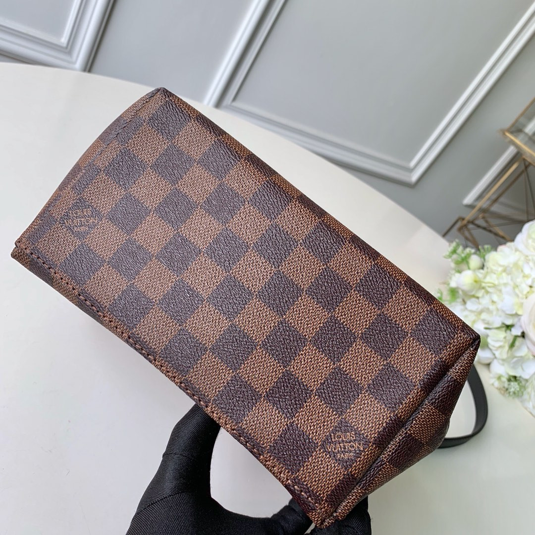 Louis Vuitton Clapton Bag