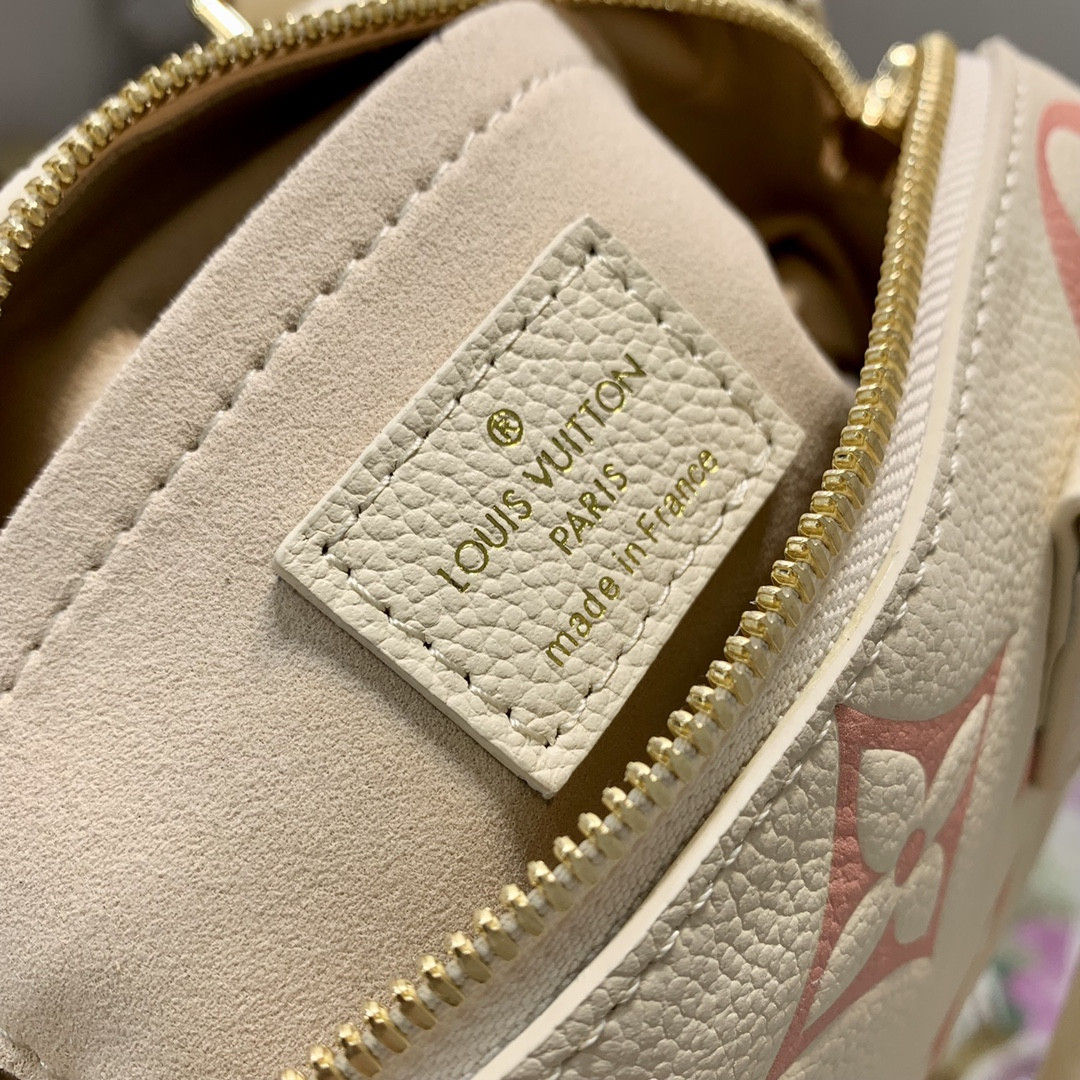 Louis Vuitton Speedy Bandoulière 20 Bag