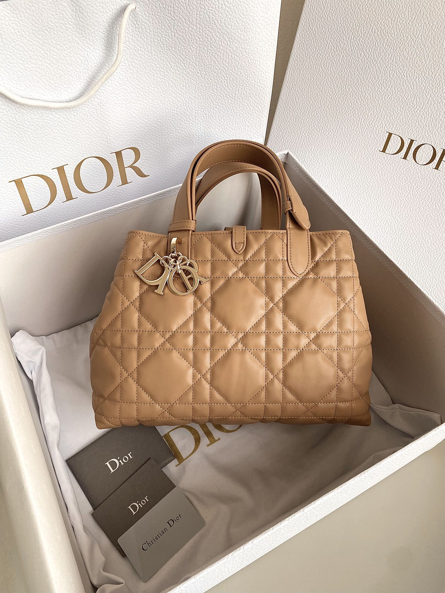 Dior Toujours Bag