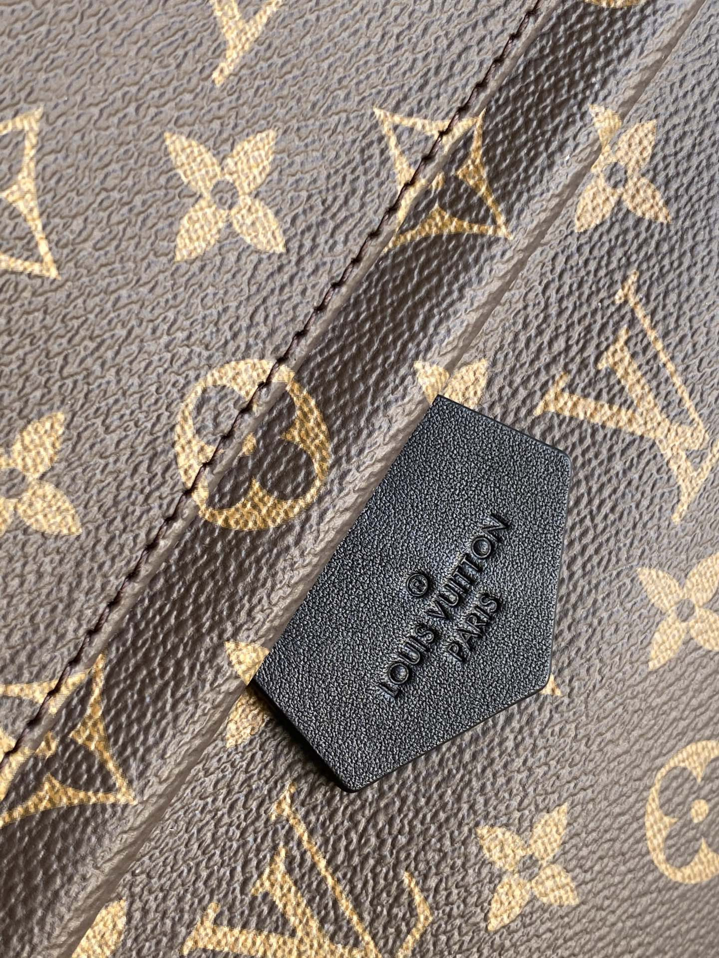 Louis Vuitton Palm Springs Bag