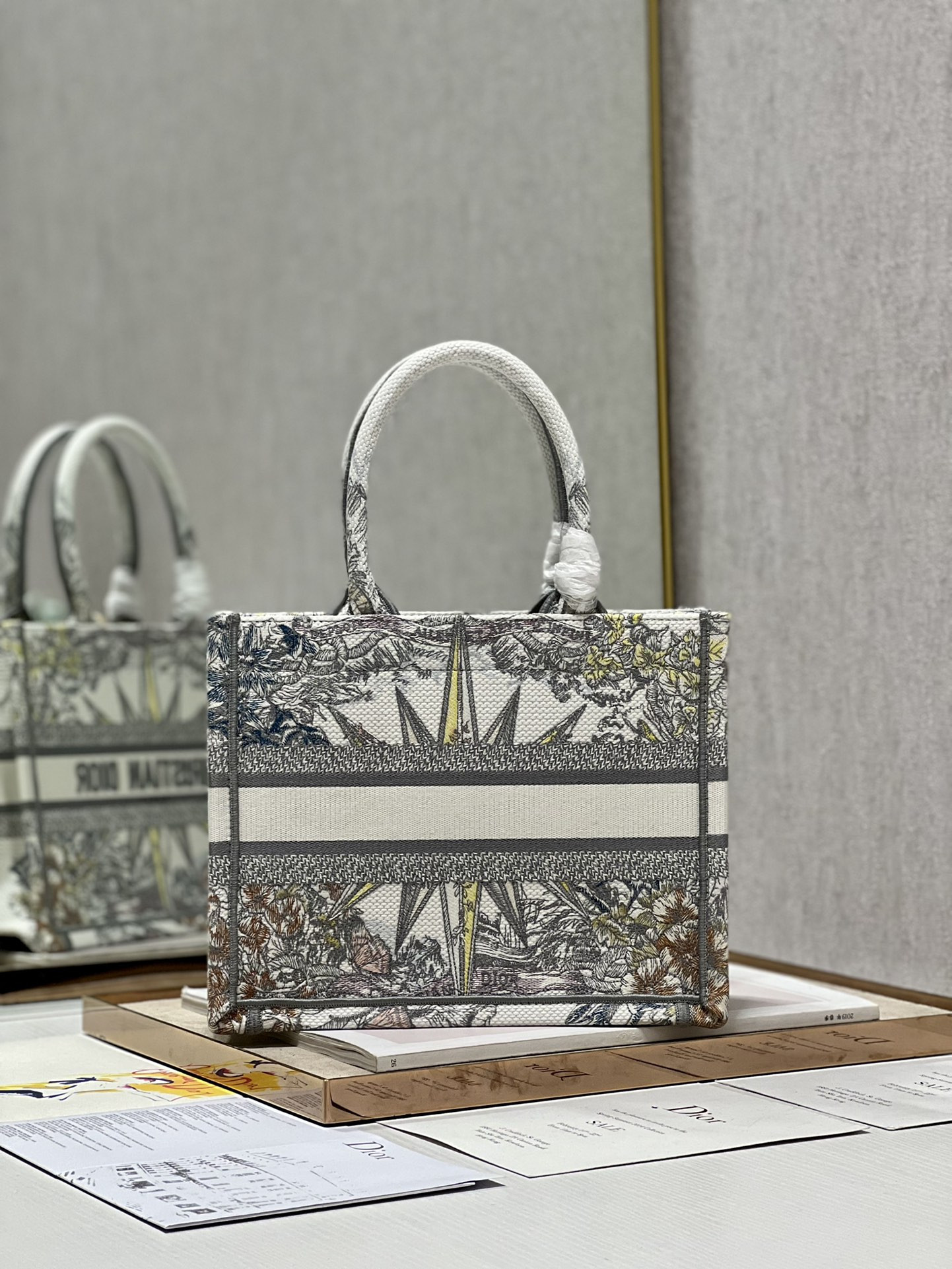 Small Dior Book Tote