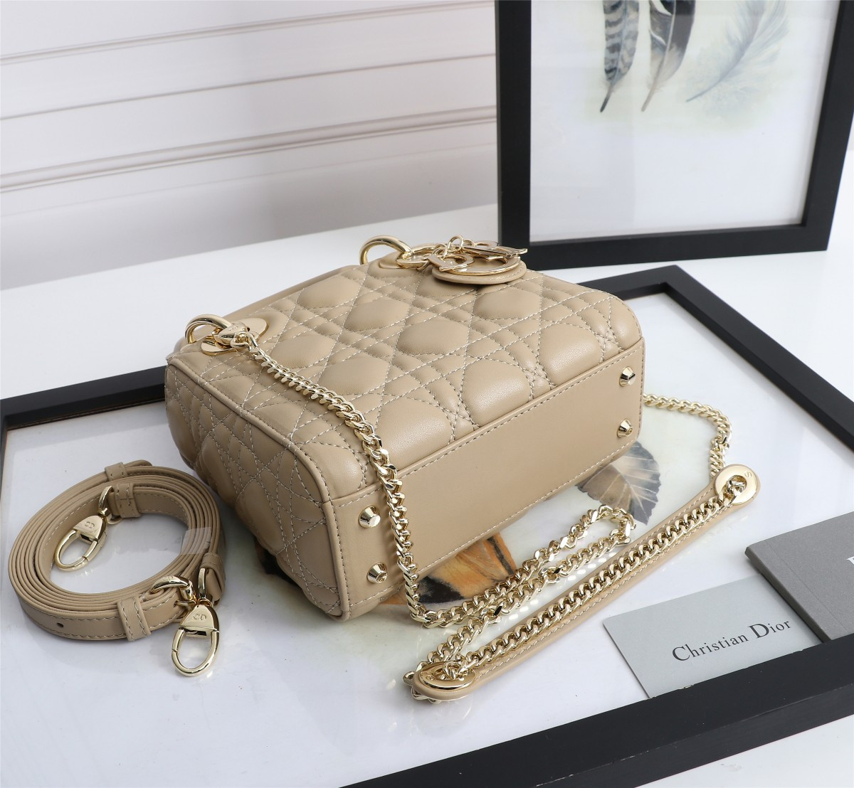 Mini Lady Dior Bag