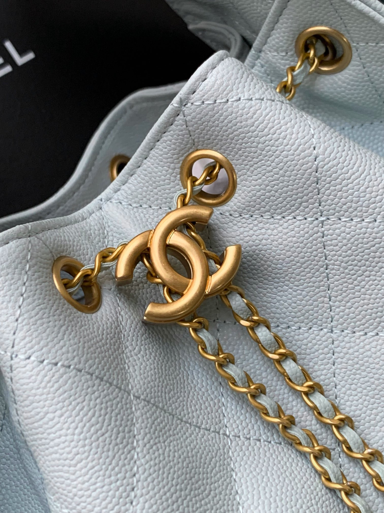 Chanel 25s Hobo Bag