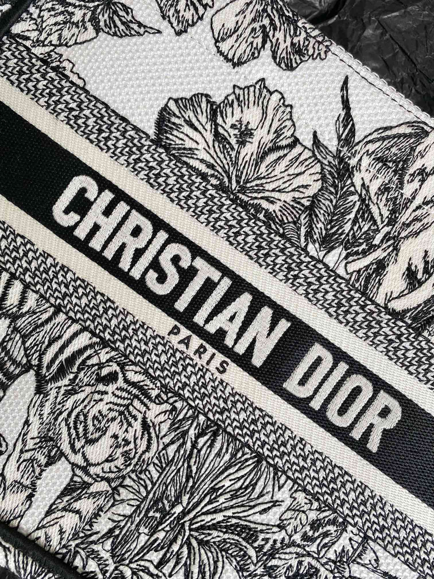 Small Dior Book Tote