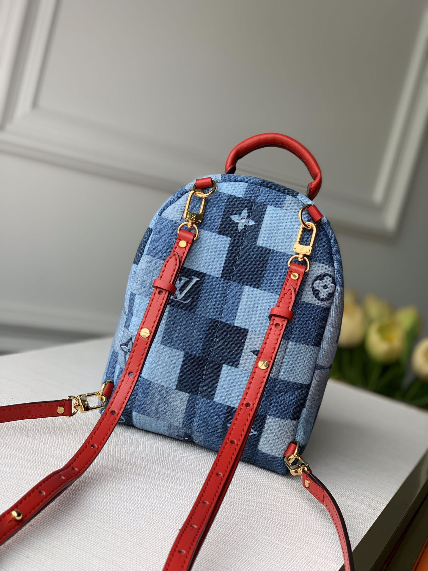 Louis Vuitton Palm Springs Bag