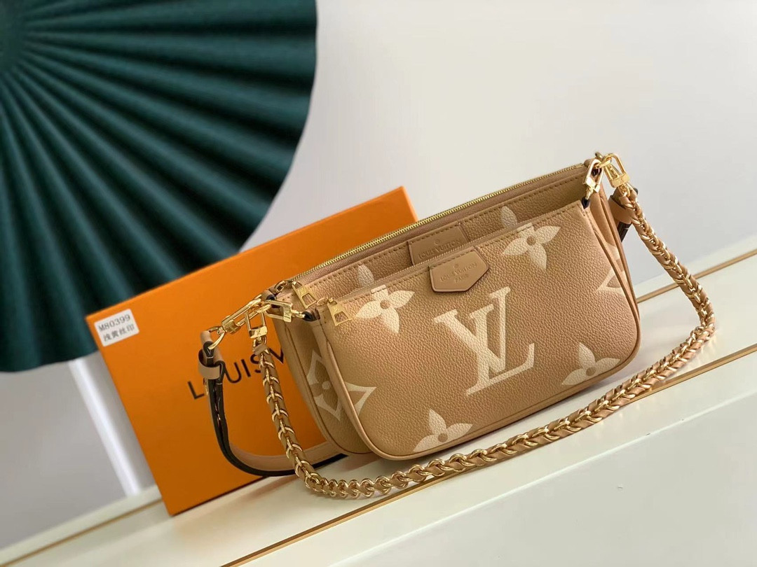 Louis Vuitton Multi Pochette Accessories Bag