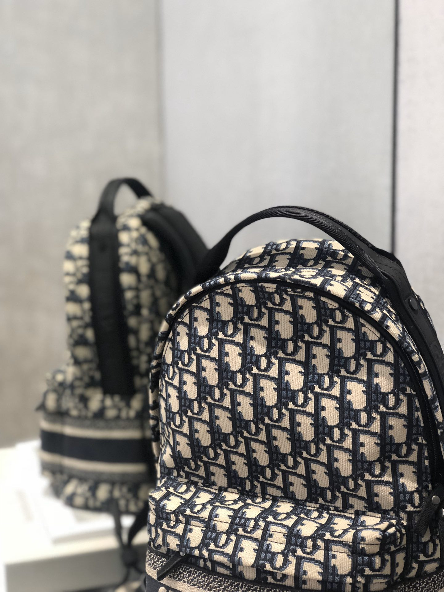 Dior Backpack