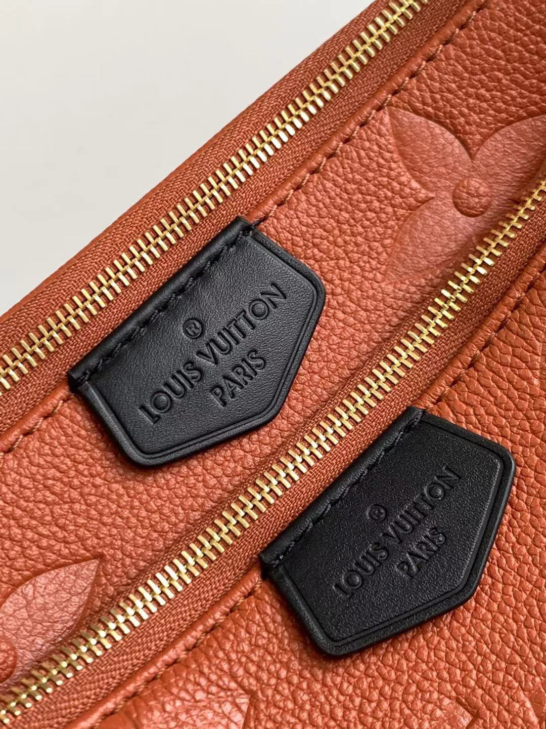 Louis Vuitton Multi Pochette Accessories Bag