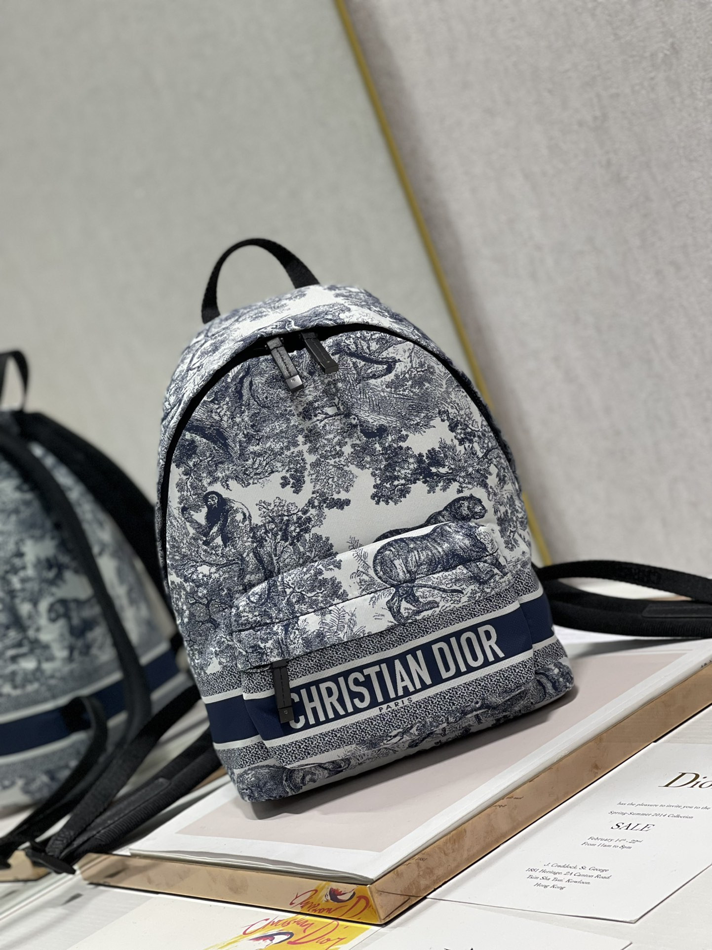 Dior Backpack
